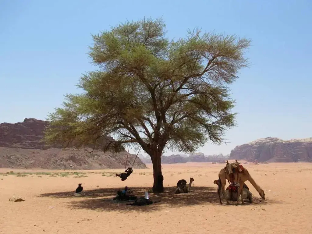 Climbers' House in Wadi Rum