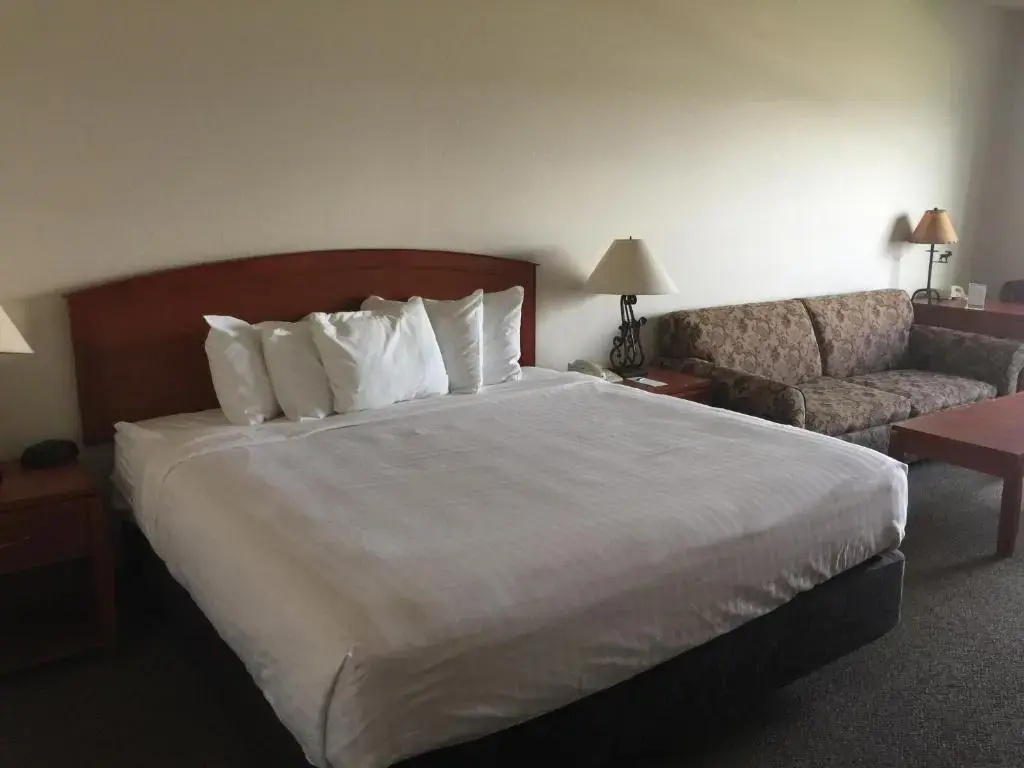River Lodge And Grill - Chambres