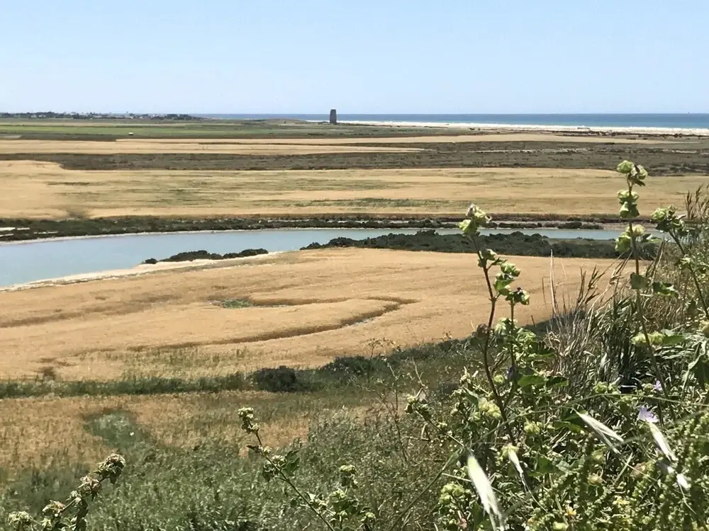 Apartment With 2 Bedrooms in Conil de la Frontera, With Wonderful City