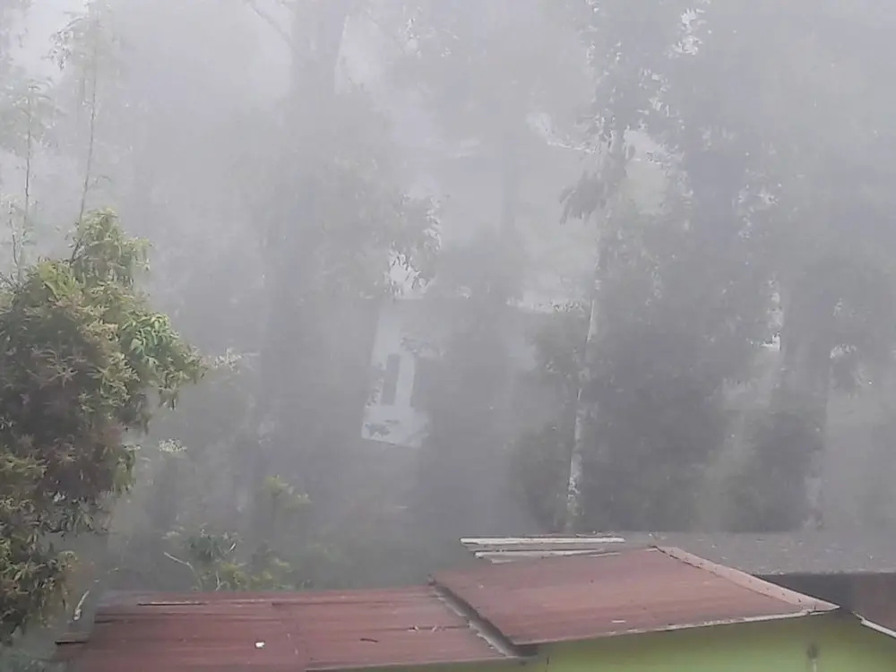 Wayanad Stay .The Pepper Suite
