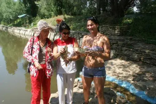 Ekoferma Mezhdumorye - фото 16