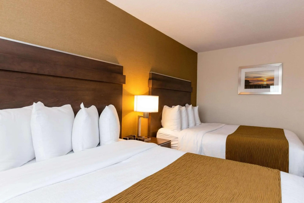 Quality Inn & Suites - фото 29