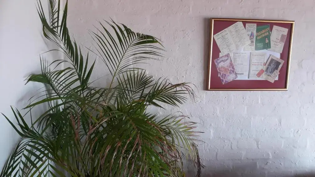 Jack's Seaview Inn - Chambres