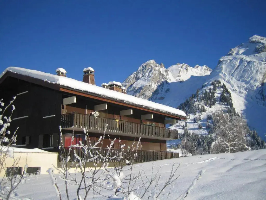 Appartement La Clusaz, 2 pièces, 4 personnes - FR-1-304-120