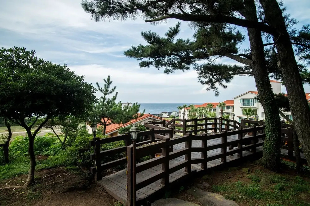 Witch's Broomstick — фото 4