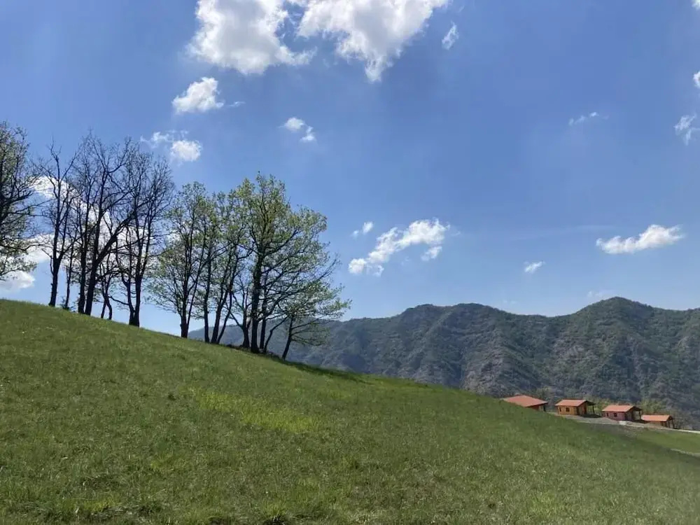 Azienda Agricola Saint Hubert
