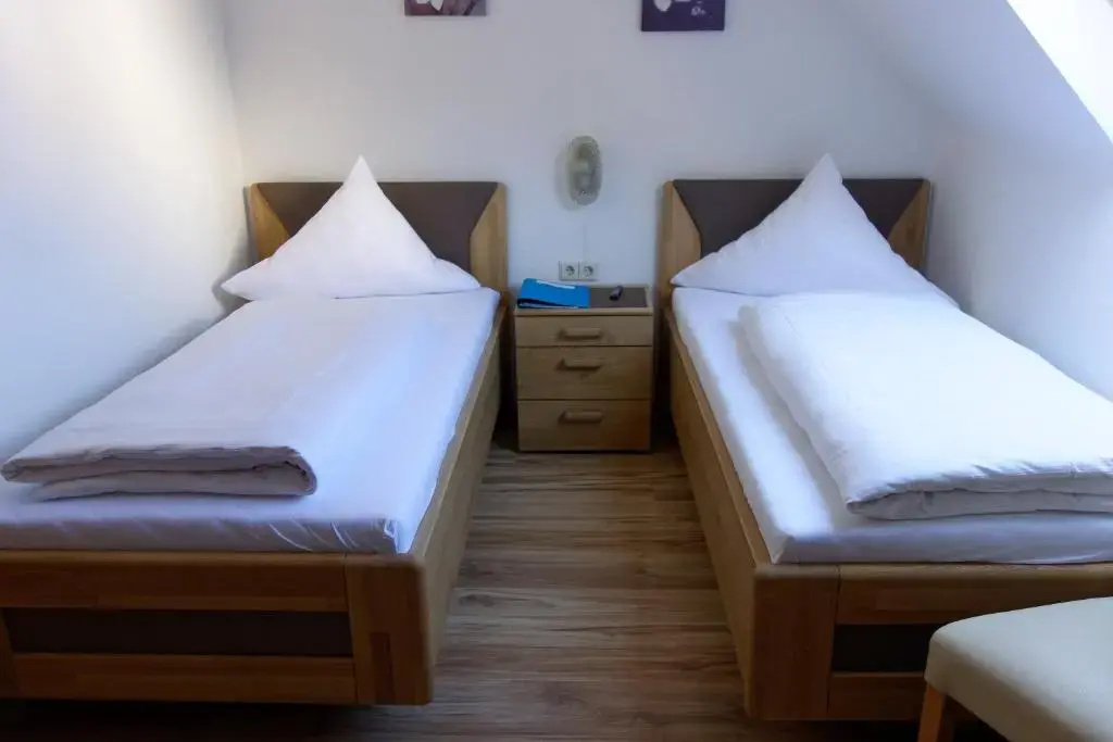 Economy Double room (twin beds)