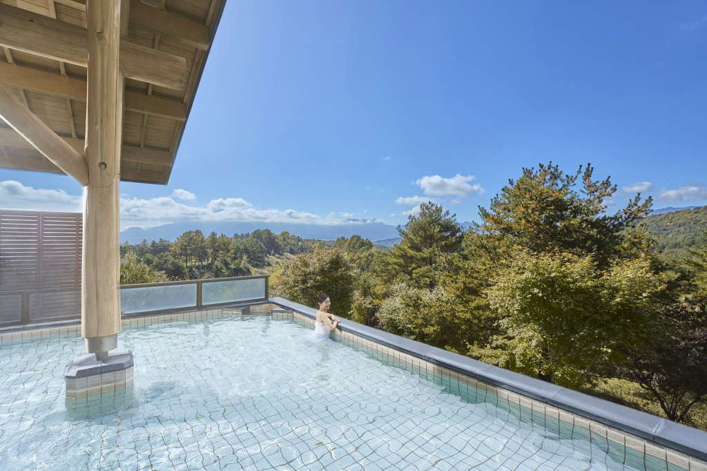 Tsumagoi Prince Hotel - Général