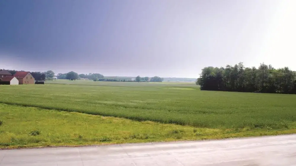 Landhotel Jäckel - Général