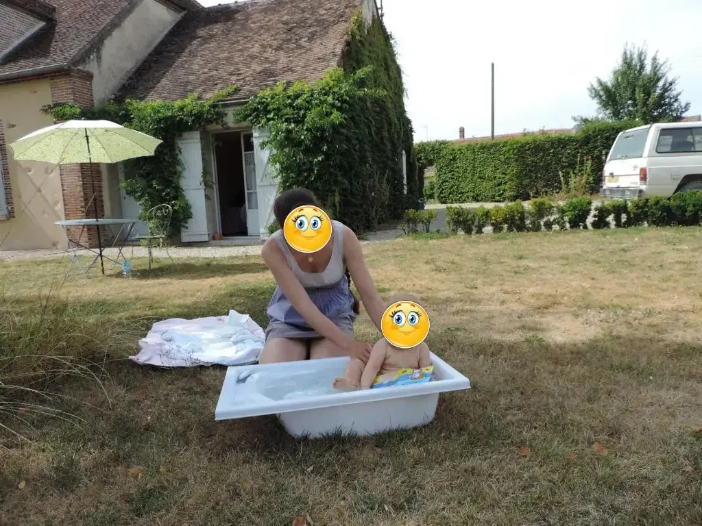 Le Saule Argenté