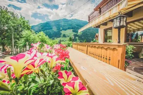 Balcony & Terrace