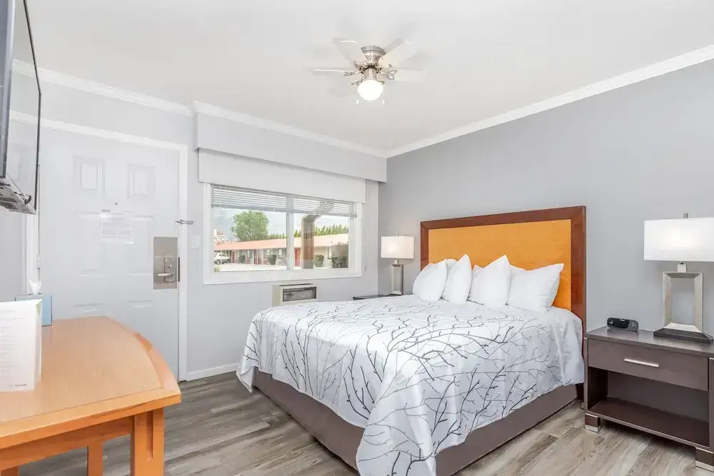 Comfort Double room with courtyard view (full double bed)