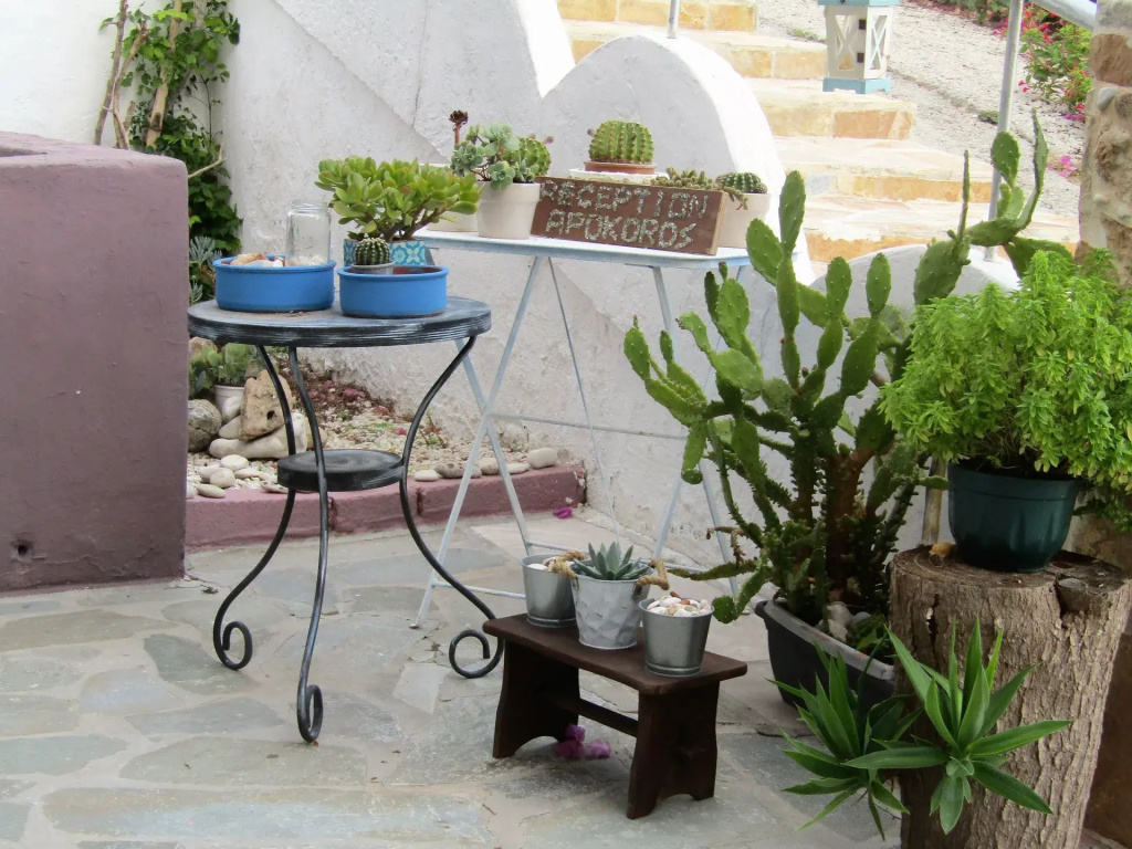 Balcony & Terrace