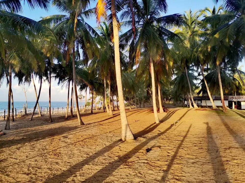 Helios Beach Resort - Général