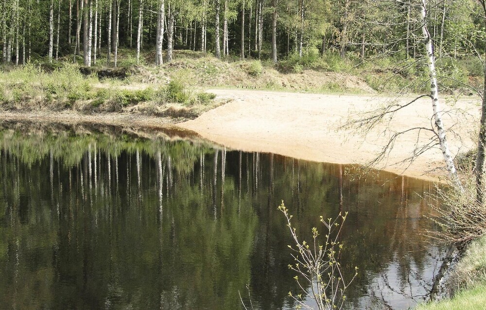 Image 12