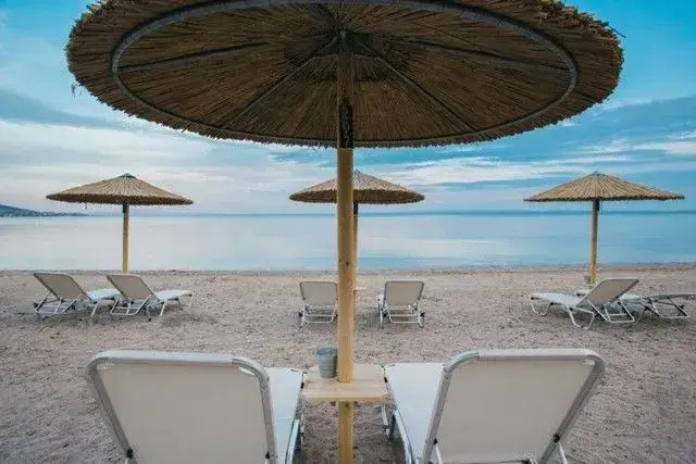 Olea Mare - Général