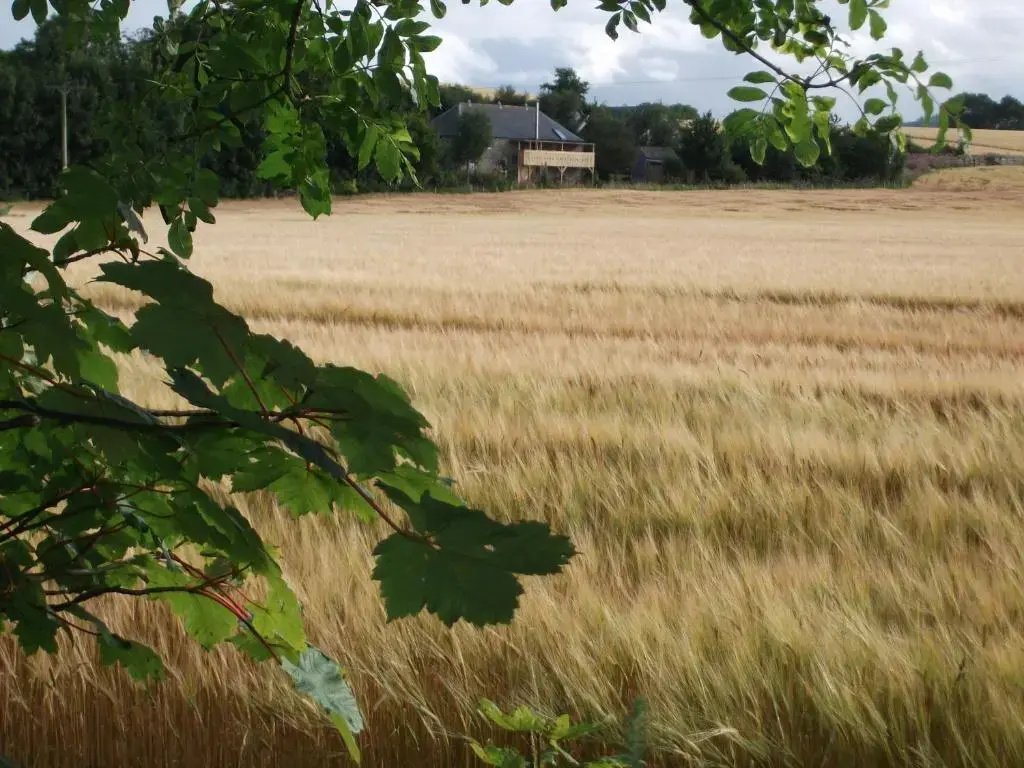 The Granary - Chambres