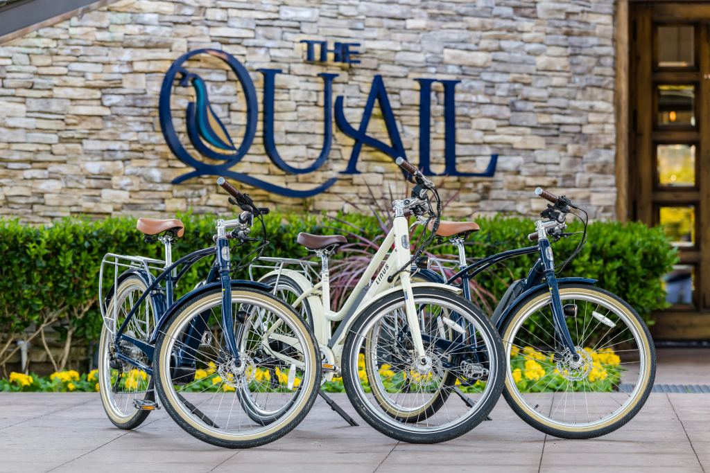 The Quail