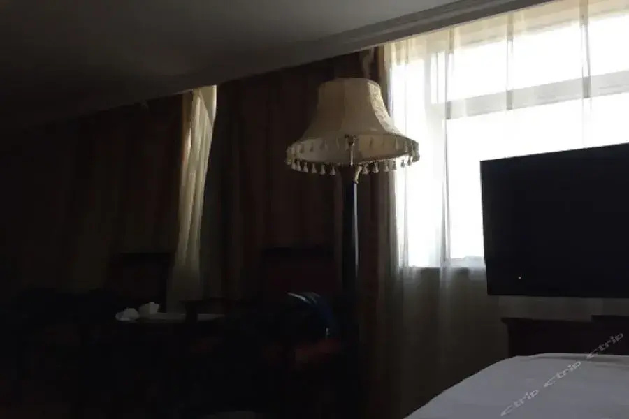 Dalian International Airport Hotel - Général