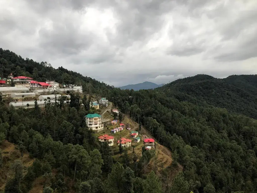 Hotel Chail Residency - Chambres