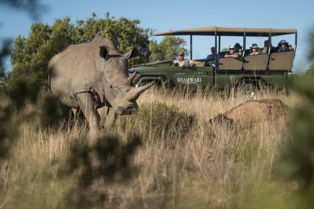 Shamwari Sarili Lodge - фото 44