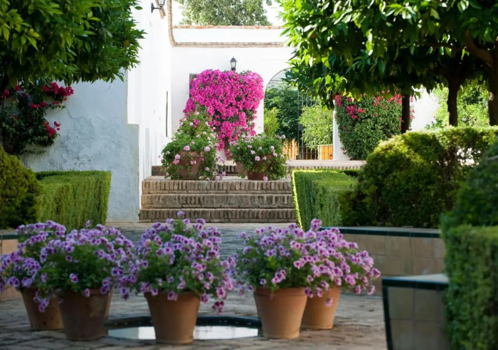 Cortijo Torre de la Reina - Général