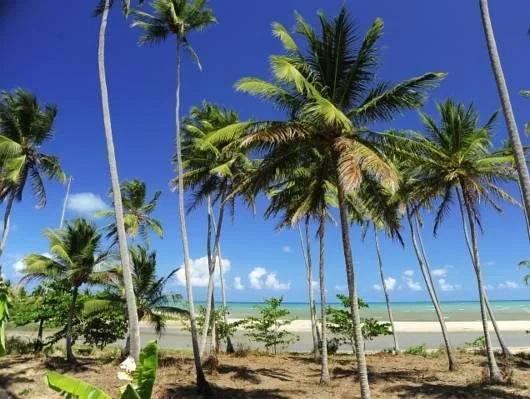 Beach & Waterfront