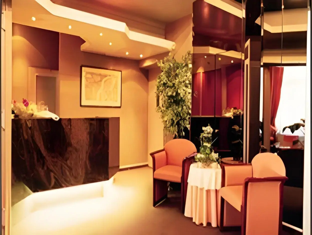 Hotel Le Cygne d'Argent - Général
