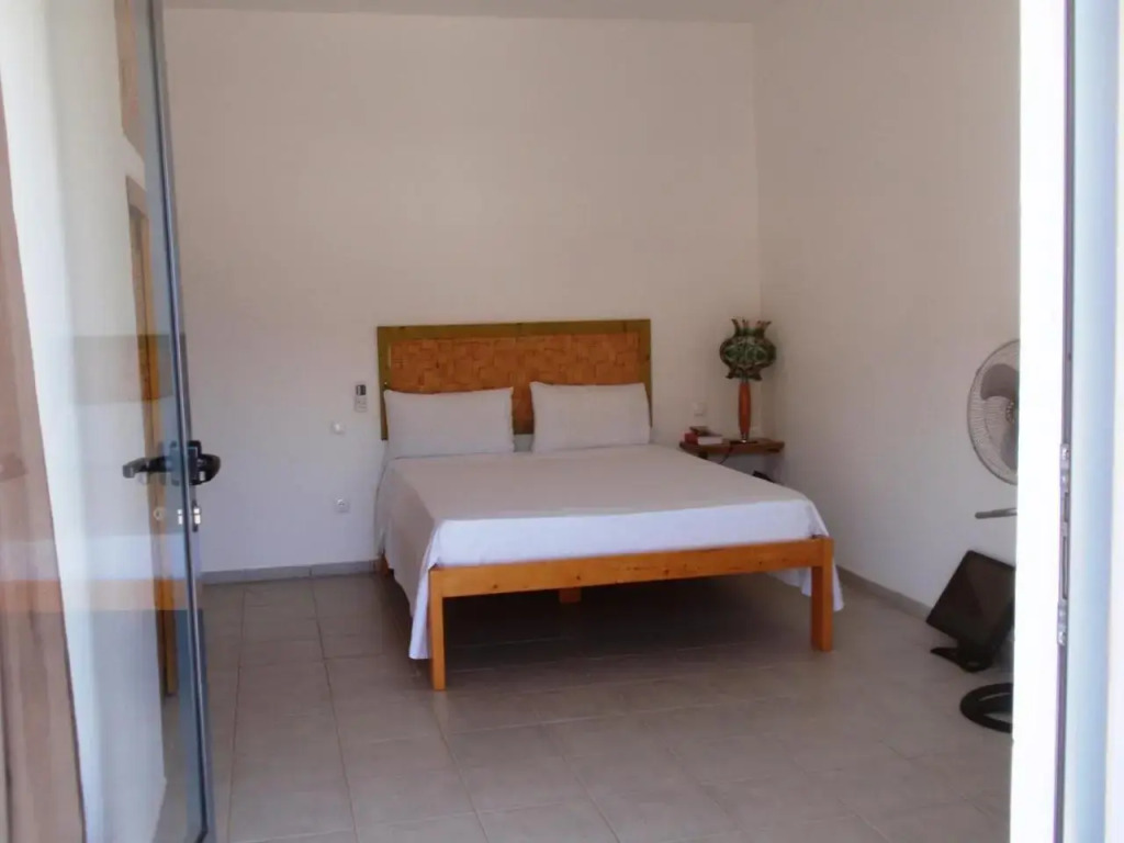 Zena Star - фото 13