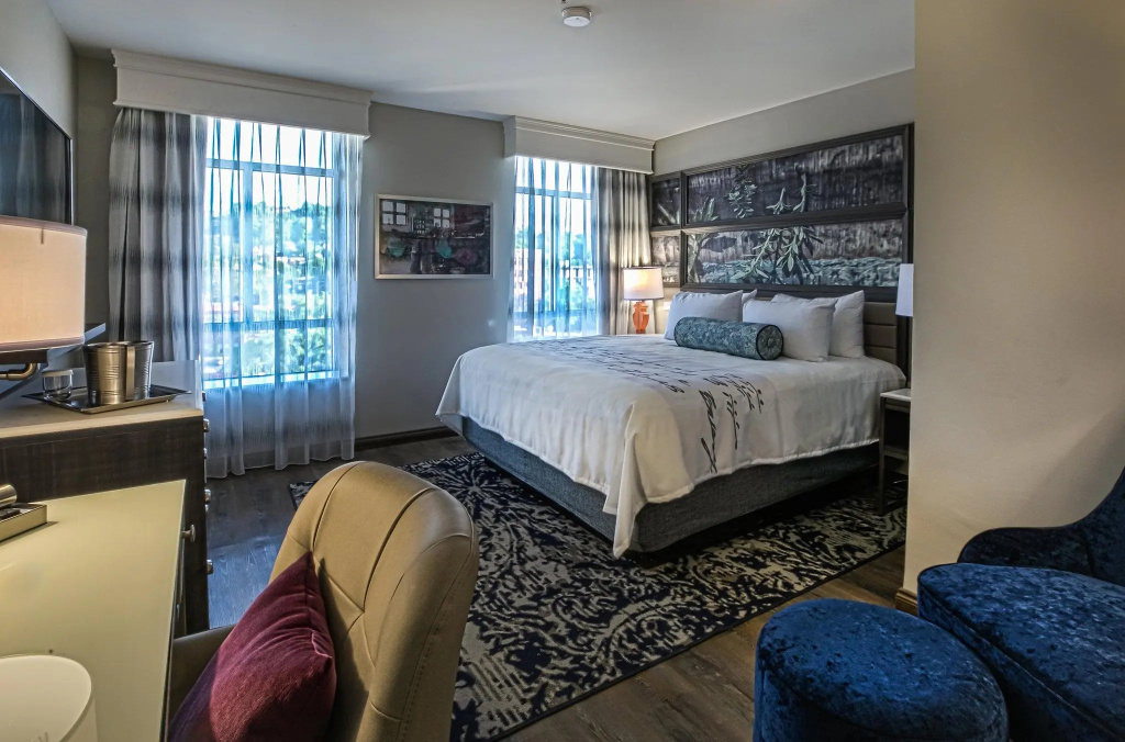 Hotel Indigo Birmingham Five Points S - UAB by IHG - Chambres