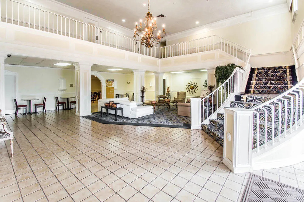 Lobby & Reception