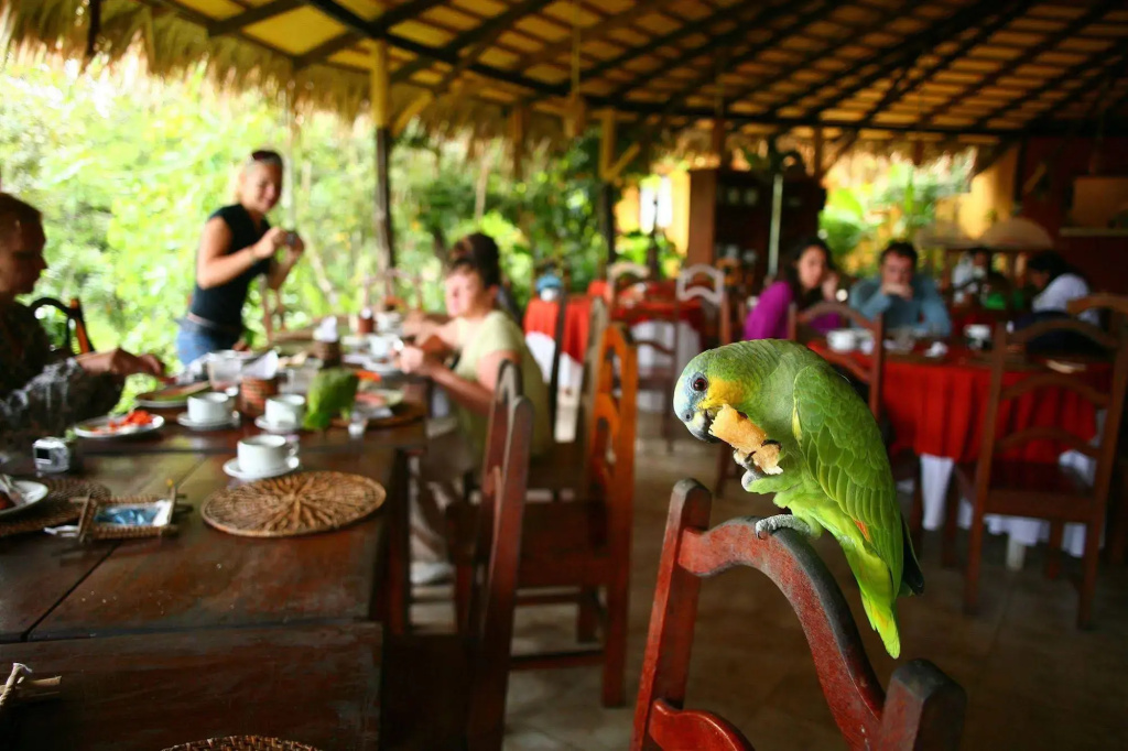 Amazon EcoPark Jungle Lodge - Général