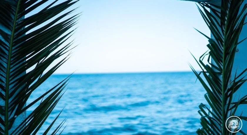 Beach & Waterfront
