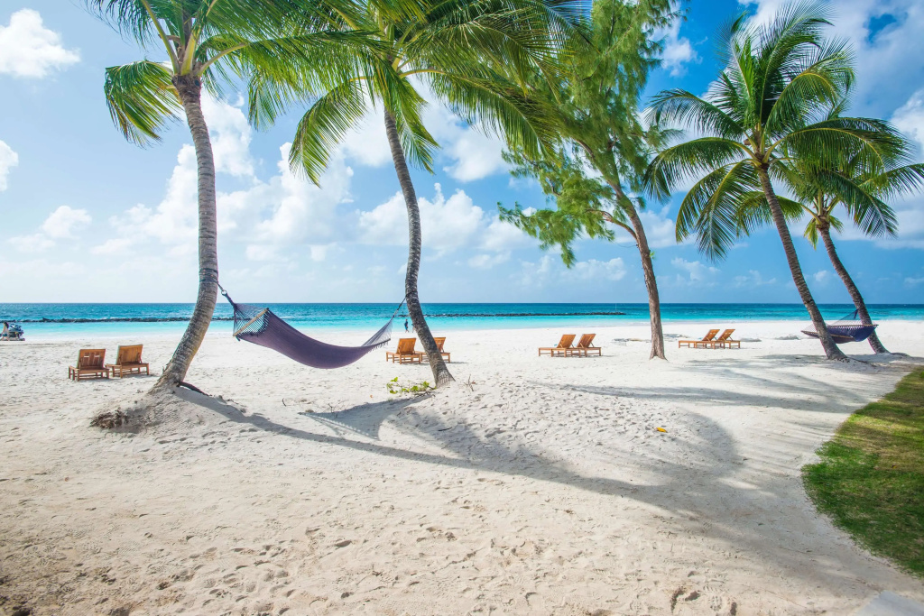Beach & Waterfront