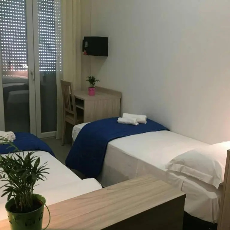 Standard Double room with balcony (twin beds)