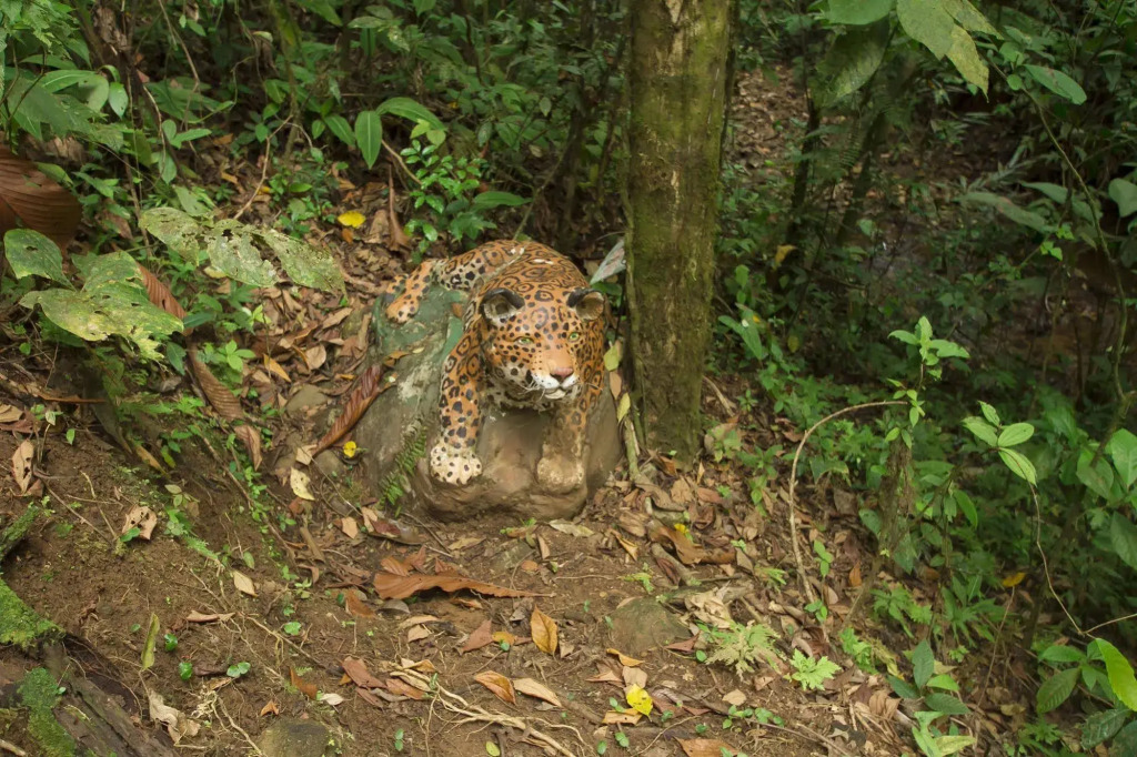 Villas Josipek - фото 11