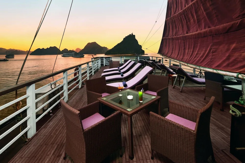 Apricot Premium Cruise