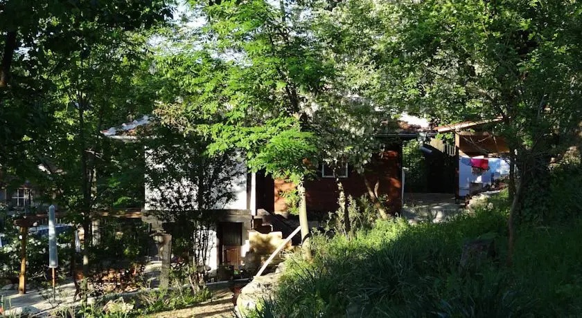 Old House Lisec — 5