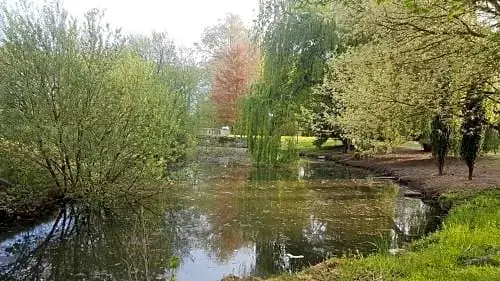 Château de Basché - фото 12