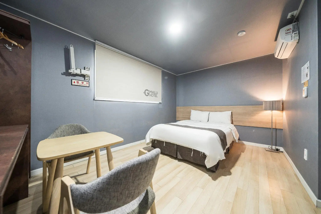 Standard Double room with city view (full double bed)