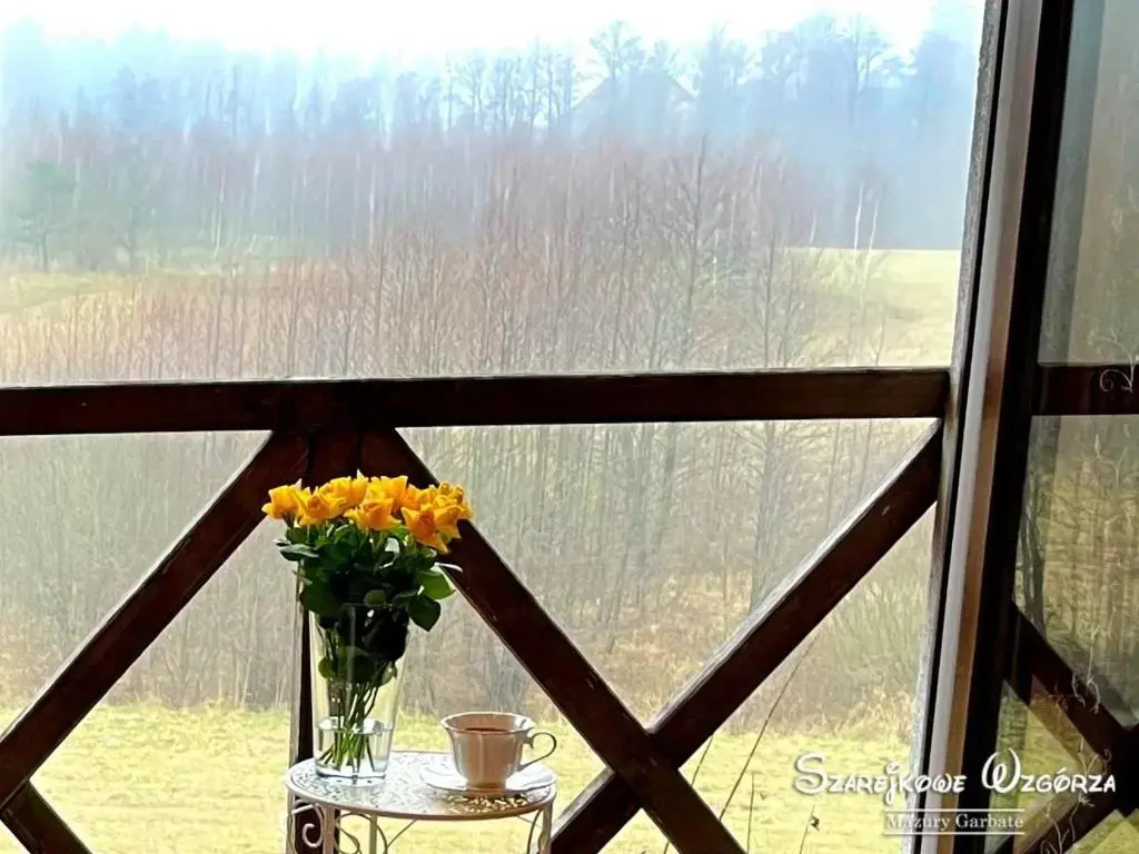 Balcony & Terrace