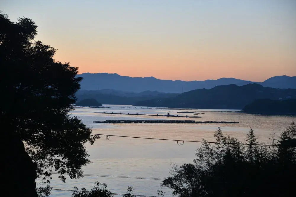 Shirahama Seaside Hotel - Général
