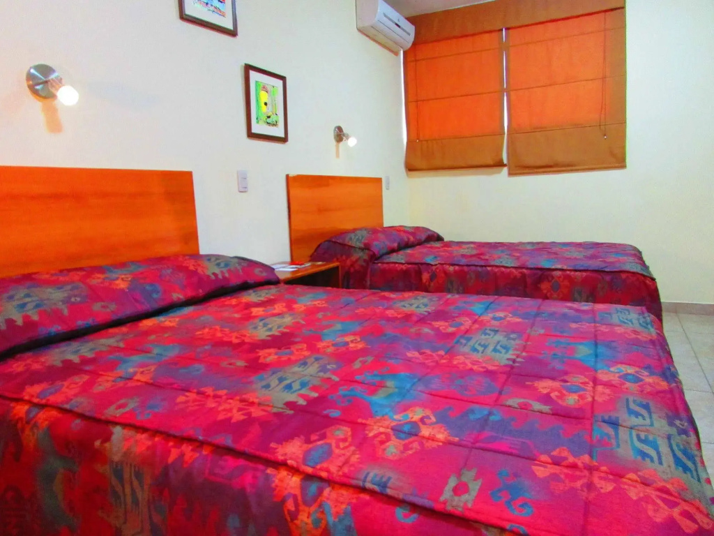 Palau Amazonas Hotel - Général