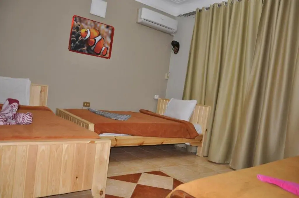 Dahab Plaza Hotel - Chambres