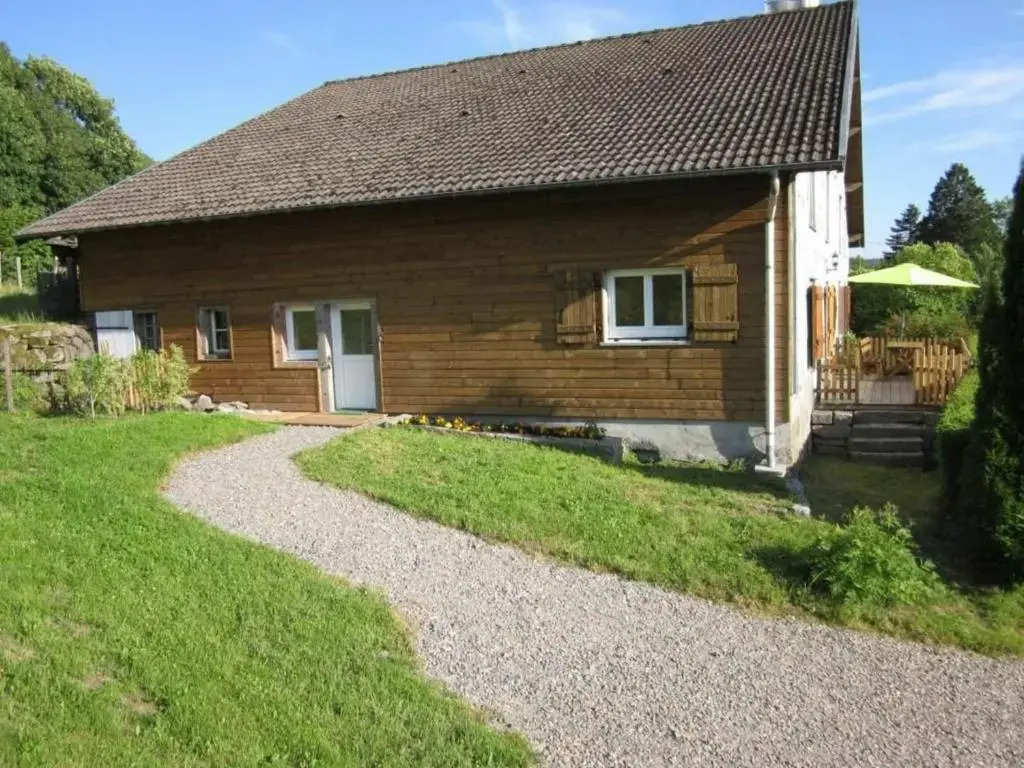Image 8