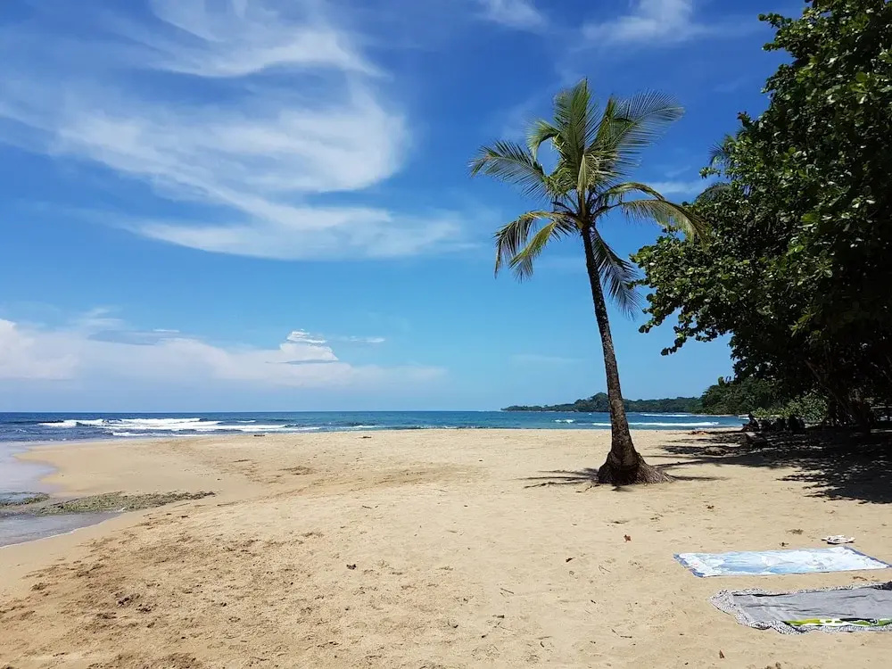 Beach & Waterfront