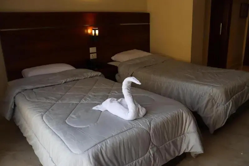 Standard Double room (twin beds)