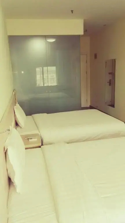 Business Double room (twin beds)
