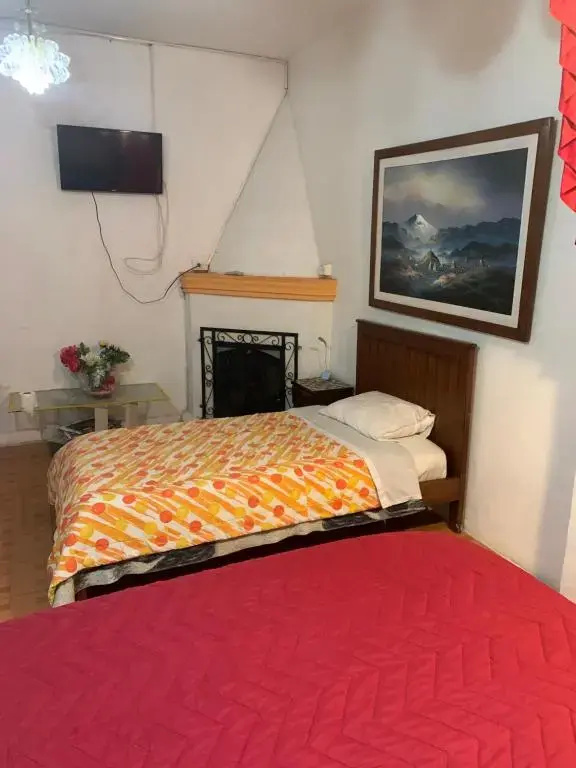 Standard Double room (full double bed)