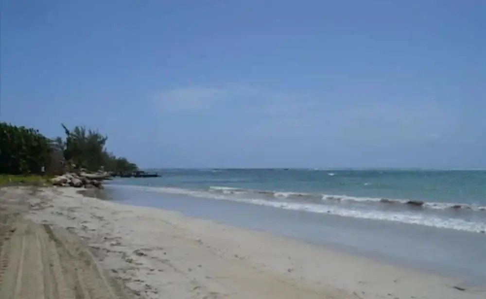 Beach & Waterfront